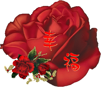 情人节送男友什么好今日七夕情人节，漂亮玫瑰送给群里所有的朋友，祝你们情