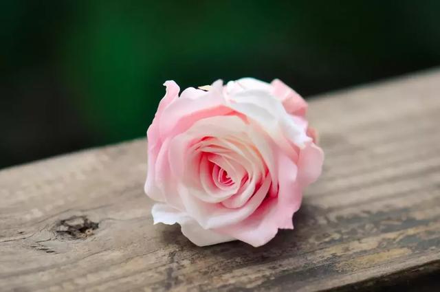 十句撩人的诗词情话，十句用来表白的诗词名句