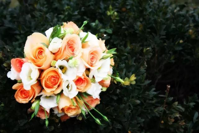 十句撩人的诗词情话，十句用来表白的诗词名句