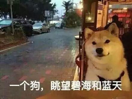 哥哥的老婆韩国，已公开的韩国情侣名单（弟弟的前女友变成哥哥的女人…#泰剧）