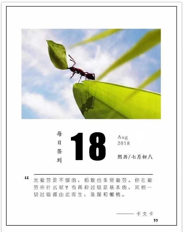 周六早安日签180818:争气,永远比生气漂亮