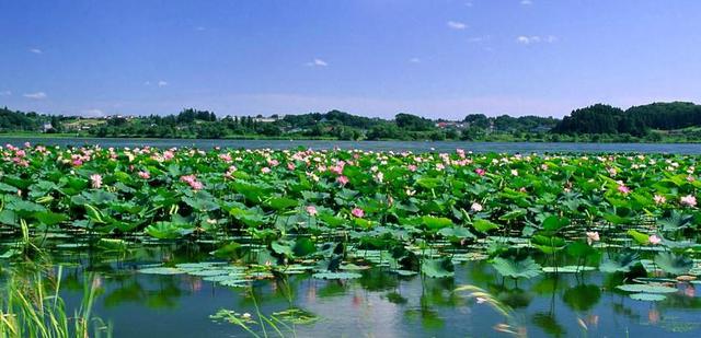 河北省面积和人口，河北人口多的几个地级市
