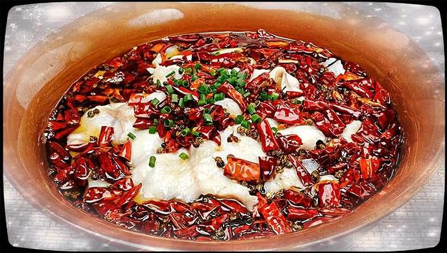 青鳉鱼怎么做才好吃，观赏鱼中的新宠，观背青鳉