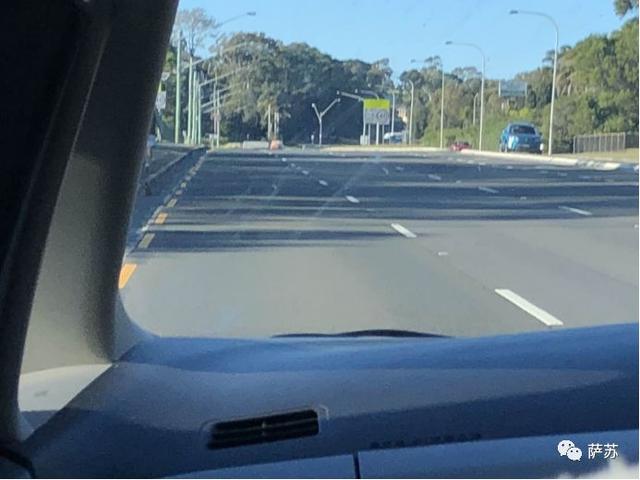 袋熊，澳大利亚聪明的袋熊