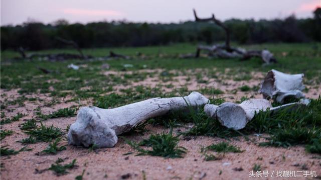 古石棺是否能埋死人，封棺入木的遗体