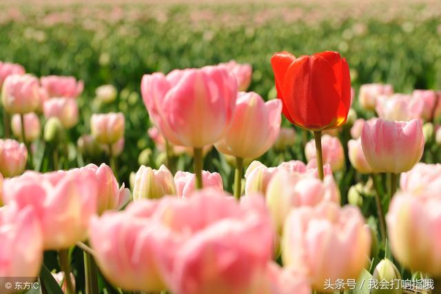 周公解梦为什么梦得很详细，这3件事要是被你梦见了