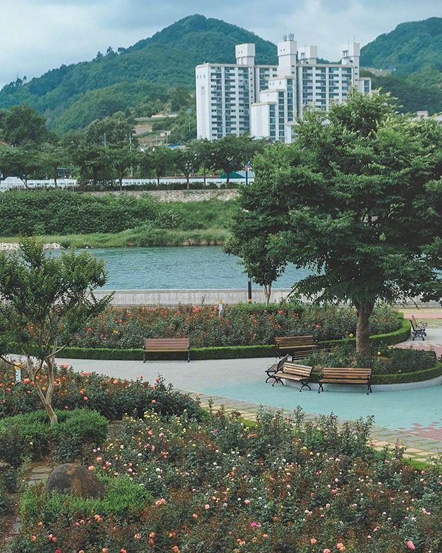 早安心情文字180821：简单生活，一笑而过