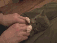 邯郸方言文字，邯郸人会说不会写的26个字