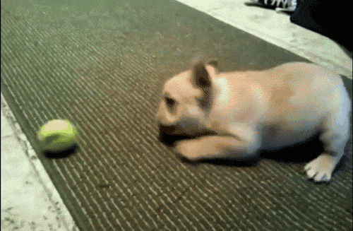 邯郸方言文字，邯郸人会说不会写的26个字