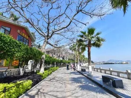 鼓浪屿风琴博物馆，鼓浪屿旅游最全攻略（数着网红打卡地玩转鼓浪屿）
