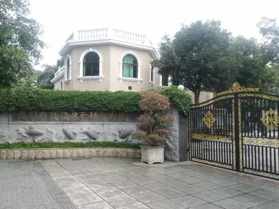 鼓浪屿风琴博物馆，鼓浪屿旅游最全攻略（数着网红打卡地玩转鼓浪屿）