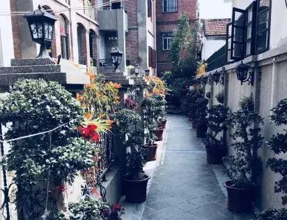 鼓浪屿风琴博物馆，鼓浪屿旅游最全攻略（数着网红打卡地玩转鼓浪屿）