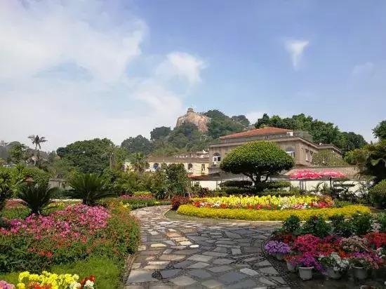 鼓浪屿风琴博物馆，鼓浪屿旅游最全攻略（数着网红打卡地玩转鼓浪屿）