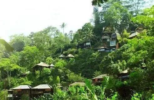 难忘的巴厘岛x体验之旅，天涯巴厘岛spa体验之旅