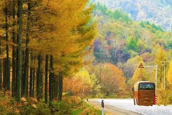 辽宁旅游攻略自驾游路线，辽宁最美的自驾游路线都在这里