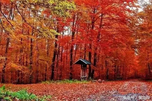 辽宁旅游攻略自驾游路线，辽宁最美的自驾游路线都在这里