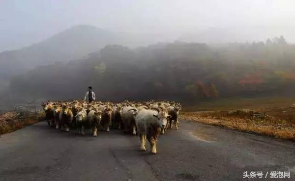 辽宁旅游攻略自驾游路线，辽宁最美的自驾游路线都在这里