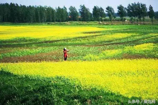 辽宁旅游攻略自驾游路线，辽宁最美的自驾游路线都在这里