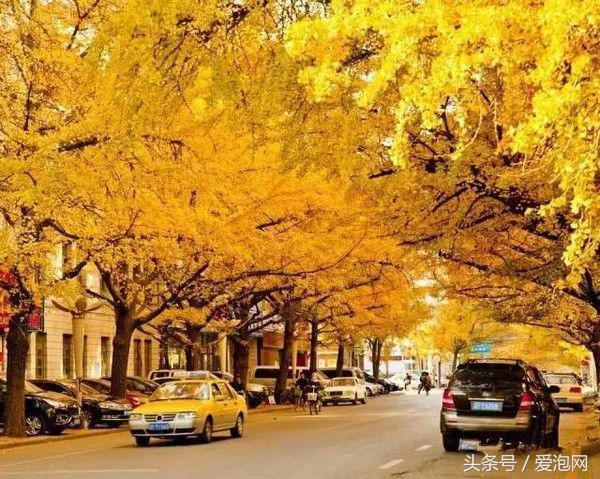 辽宁旅游攻略自驾游路线，辽宁最美的自驾游路线都在这里