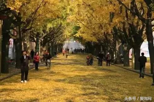 辽宁旅游攻略自驾游路线，辽宁最美的自驾游路线都在这里