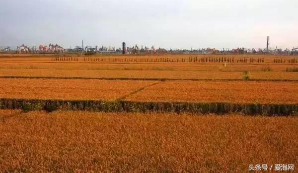 辽宁旅游攻略自驾游路线，辽宁最美的自驾游路线都在这里