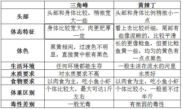 三角峰和黄辣丁的区别，黄辣丁和三角峰营养差别