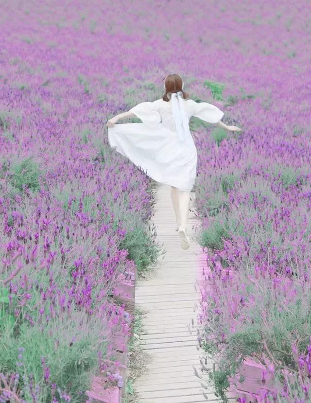 晚安的说说180825：情深情浅全在真，缘深缘浅全在心