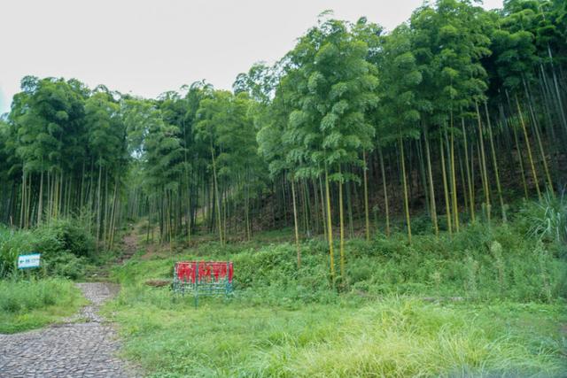 湖州的安吉有哪几个好玩的景点，湖州安吉去哪好玩