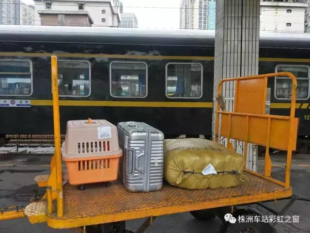 中铁快运宠物托运，敲黑板关于宠物托运的流程火车篇（官方提示：不要代办检疫证明）