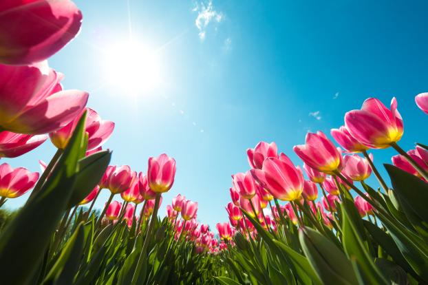 多囊卵巢综合症是很严重的疾病，关于多囊卵巢综合征