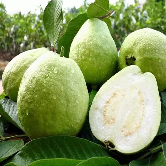 适合减脂期吃的8种水果，最减脂的水果最发胖的水果