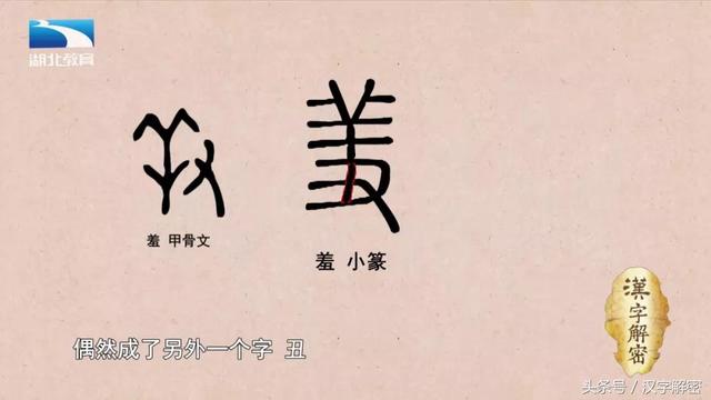 羊的象形字图片，象形文字羊的故事（《说文解字》第722课）