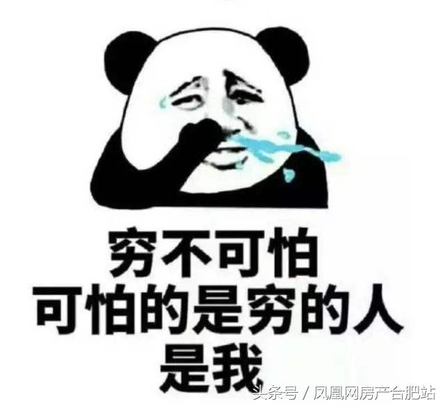 合肥学区房排名，合肥性价比高的小学学区房（合肥这6个区最好的学区房曝光）