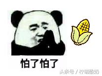 有哪些霸气的粤语话，老广都知道的100句粤语