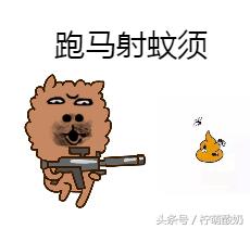 有哪些霸气的粤语话，老广都知道的100句粤语