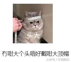 有哪些霸气的粤语话，老广都知道的100句粤语