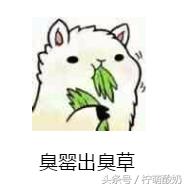 有哪些霸气的粤语话，老广都知道的100句粤语