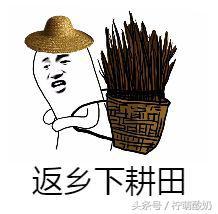 有哪些霸气的粤语话，老广都知道的100句粤语