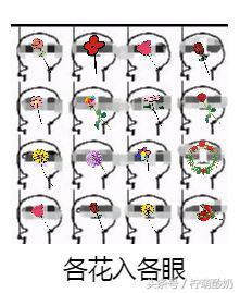 有哪些霸气的粤语话，老广都知道的100句粤语