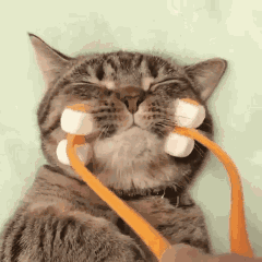 有哪些霸气的粤语话，老广都知道的100句粤语