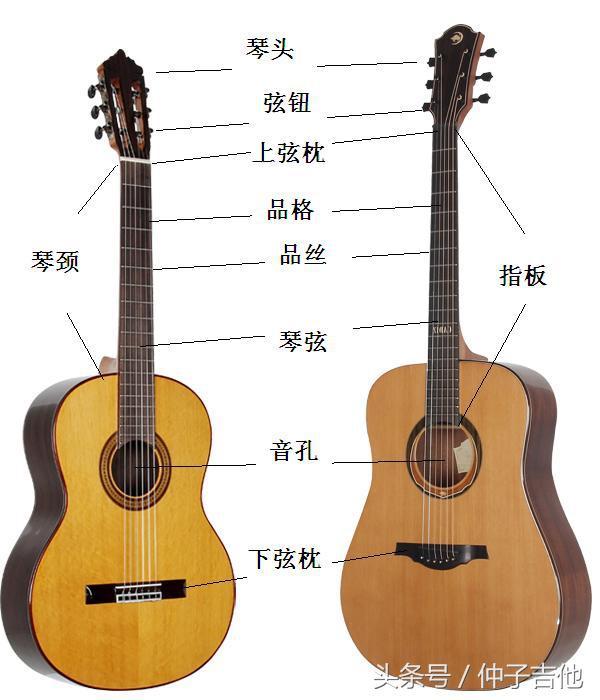 吉他入门零基础自学，零基础新手自学吉他教程（零基础学吉他，第1课认识吉他）