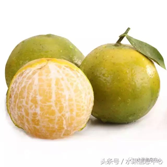 柑橘品种上市时间表，如何让柑橘6月上市