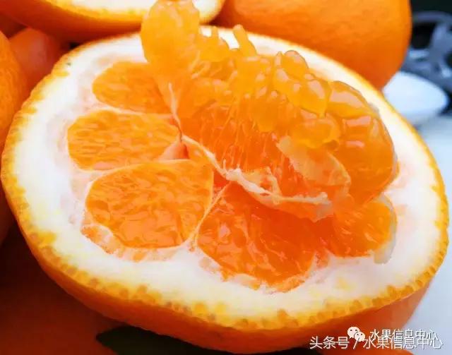 柑橘品种上市时间表，如何让柑橘6月上市