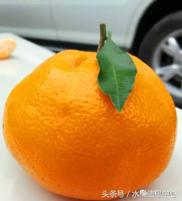 柑橘品种上市时间表，如何让柑橘6月上市