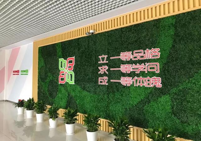 浦东新学年增加14个中小学，浦东重点小学分布图