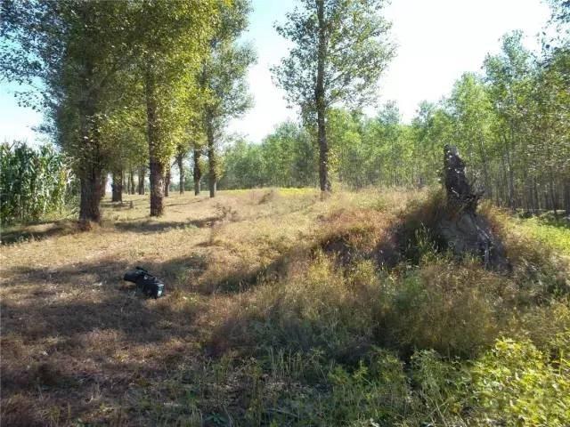 辽宁省彰武县概况，辽宁阜新彰武县----地名源于章古台