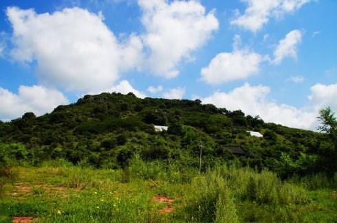 辽宁省彰武县概况，辽宁阜新彰武县----地名源于章古台