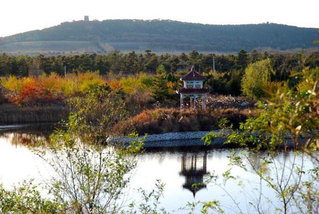 辽宁省彰武县概况，辽宁阜新彰武县----地名源于章古台