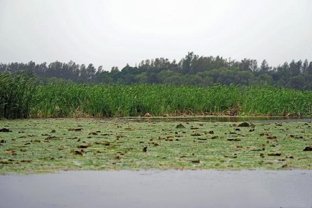 辽宁省彰武县概况，辽宁阜新彰武县----地名源于章古台