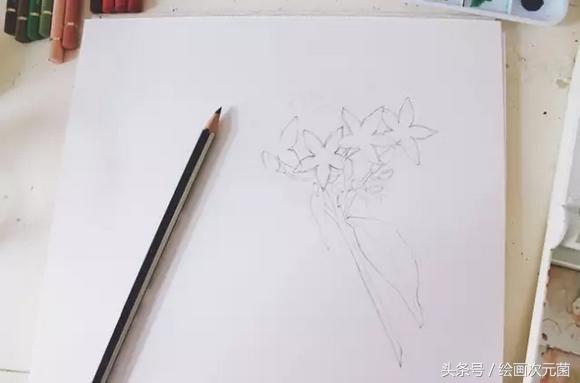初学者怎样画小花，教初学者简单的画一朵小花吧